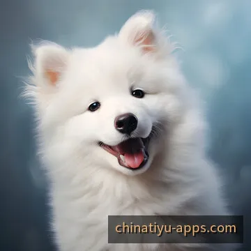 移动端应用评测博主